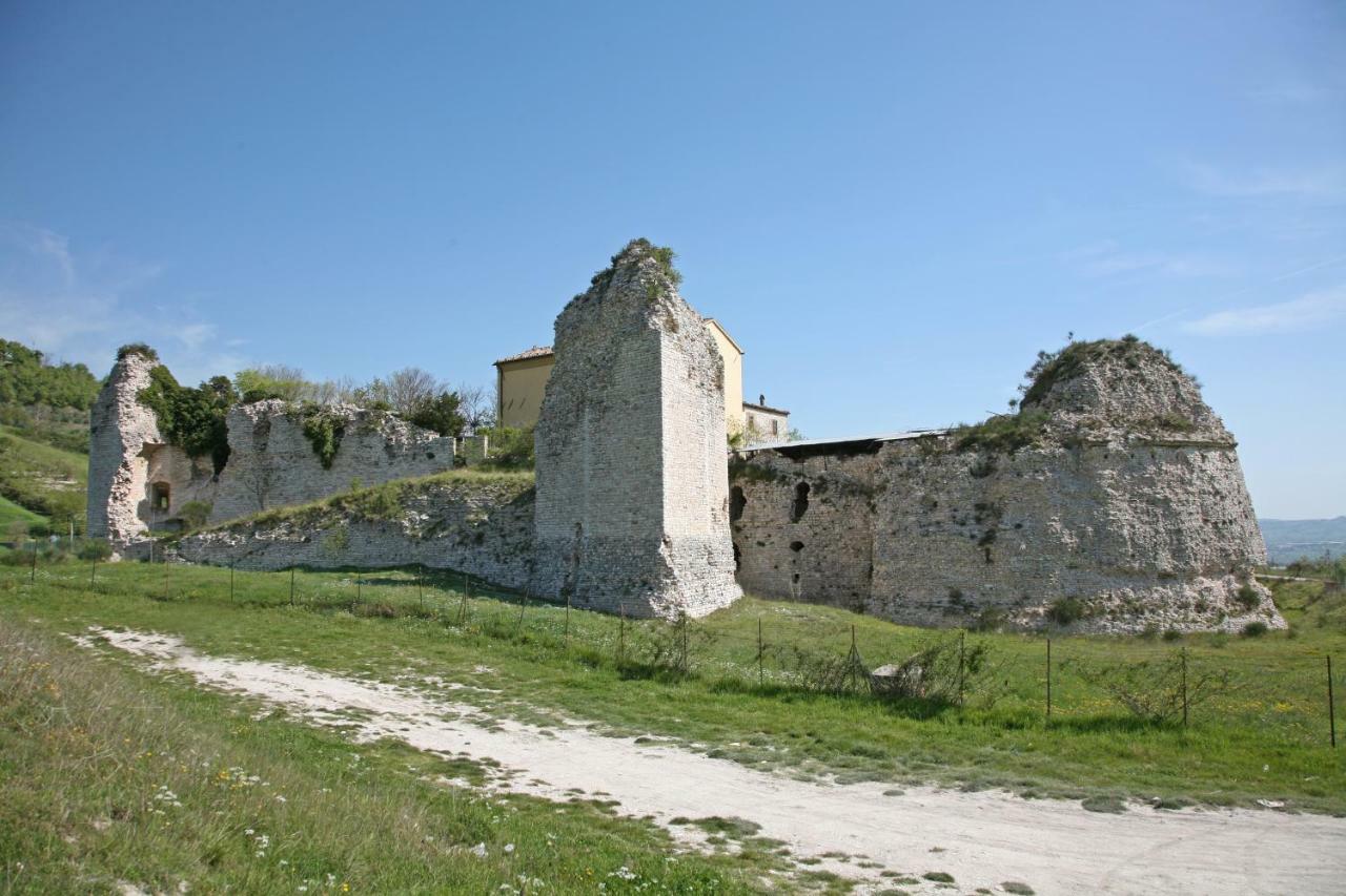 Il Cavallino فوسومبرون المظهر الخارجي الصورة
